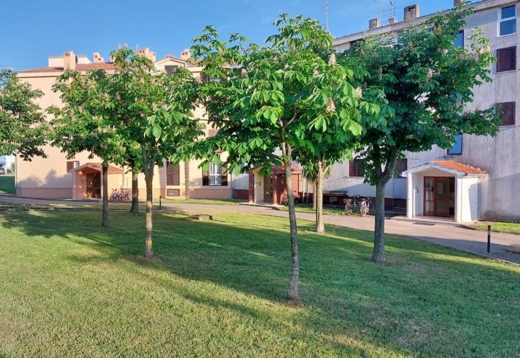 Ferienwohnung Stefan 1 Umag Exterior foto
